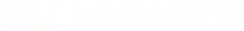Downwrite Store